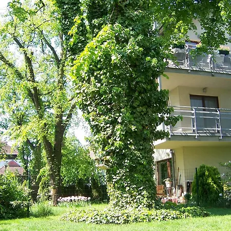 Triapart Lokietka - Sopot